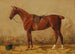 Alezan sellé dans l'écurie - Emil Volkers — artwork view