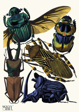 EmileAllain Sguy - Insectes Pl07.webp