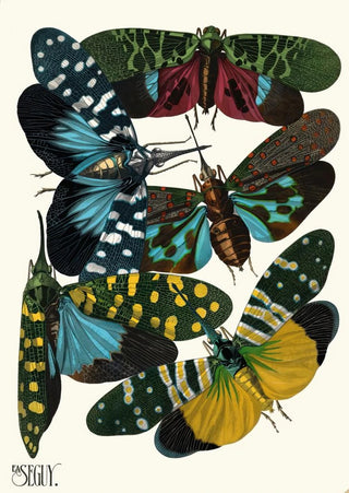 EmileAllain Sguy - Insectes Pl08.webp