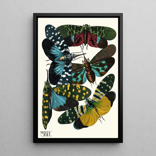 EmileAllain Sguy - Insectes Pl08.webp