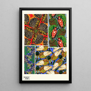 EmileAllain Sguy - Insectes Pl11.webp