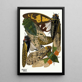 EmileAllain Sguy - Insectes Pl12.webp