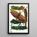 Insectos Pl18 - Émile-Allain Séguy — cuadro enmarcado en la pared