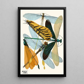 EmileAllain Sguy - Insectes Pl20.webp