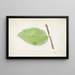 de chenilla con borde de hoja dentada - Emma Beach Thayer — cuadro enmarcado en la pared