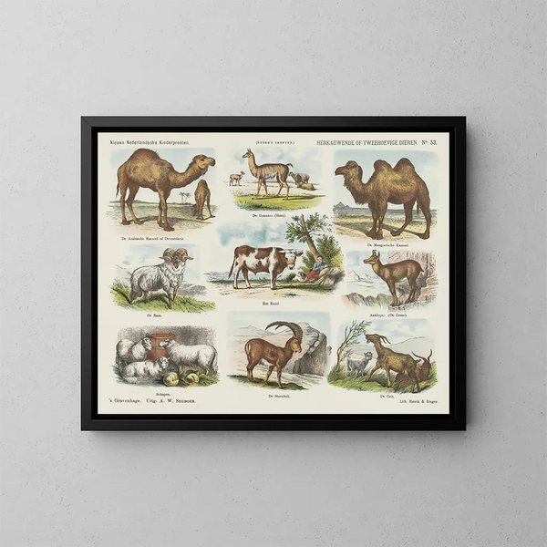 Animales rumiantes o de dos cascos - Emrik Binger — cuadro enmarcado en la pared