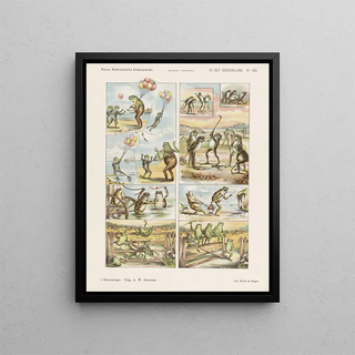 Emrik Binger - In het kikkerland.webp