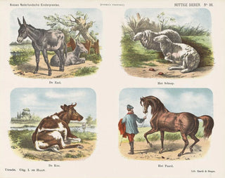 Emrik  Binger - Nuttige dieren.webp