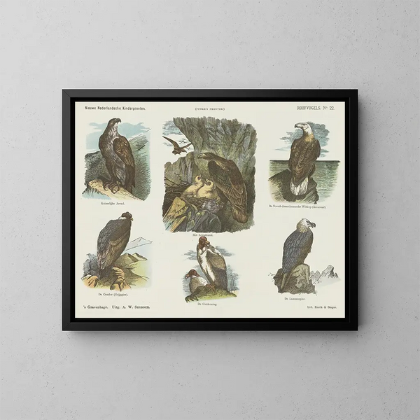Oiseaux de toit - Emrik Binger — cuadro enmarcado en la pared