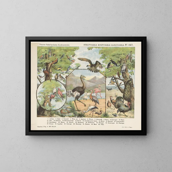 Aves rapaces y cantantes - Emrik Binger — cuadro enmarcado en la pared