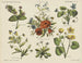 Wildflowers - Emrik Binger — artwork view