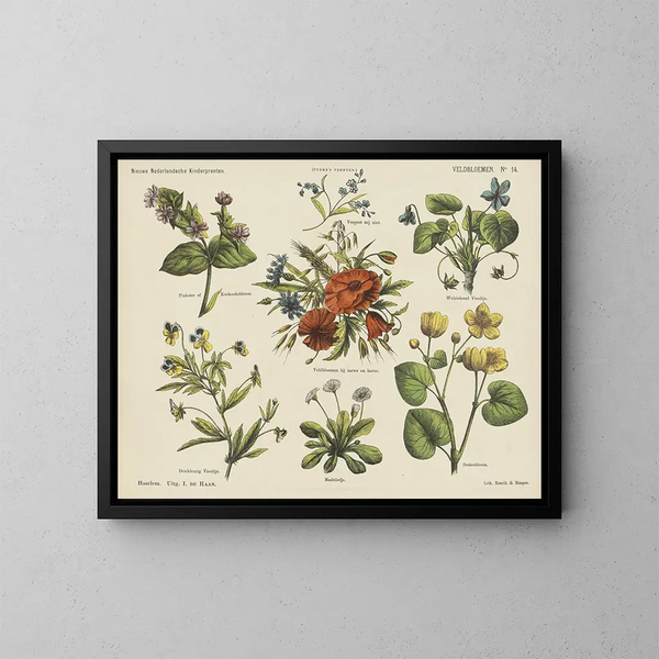 Flores de campo - Emrik Binger — cuadro enmarcado en la pared