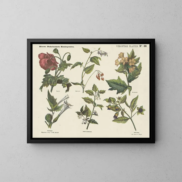 de Plantas Tóxicas - Emrik Binger — cuadro enmarcado en la pared