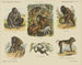 Animales a cuatro manos - Emrik Binger — vista de la obra