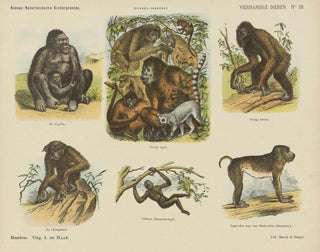Animales a cuatro manos - Emrik Binger — vista de la obra