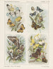 Butterfly Painting - Emrik Binger — artwork view