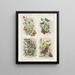 Butterfly Painting - Emrik Binger — framed artwork on a wall