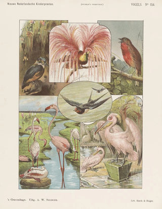 Emrik Binger - Vogels.webp