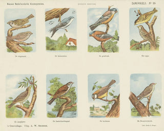 Emrik  Binger - Zangvogels.webp