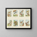 Birds Singers - Emrik Binger — framed artwork on a wall