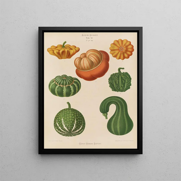 Ernst Benary - Ornamental Gourds.webp