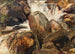 Estudio de cascada en Eggedal - Ernst Josephson — vista de la obra