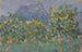 Orange trees and distant mountain - Ernst Schiess — artwork view