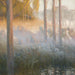 Night Spirits Painting - Gaston La Touche — artwork view