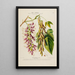 Flore d'Amérique drawn from nature on site Pl187 - Étienne Denisse — framed artwork on a wall