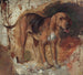 Estudio de un perro de sangre - William Holman Hunt — vista de la obra