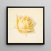Estudio de una Rosa - Paul de Longpré — cuadro enmarcado en la pared