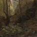 Estudio de bosque - Hans Gude — vista de la obra