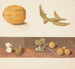 Estudio de frutas y verduras - Johanna Fosie — vista de la obra