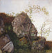 Estudio de rosas de perro y de helechos - Adolph Tidemand — vista de la obra