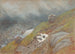 View above Handeck, Switzerland - Eugène-Emmanuel Viollet-le-Duc — artwork view