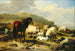 Paisaje con ovejas - Eugène Joseph Verboeckhoven — vista de la obra