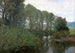 Willows on the Emper - Felix Eisengraber — artwork view
