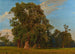 Gran Paisaje del Prater - Ferdinand Georg Waldmüller — vista de la obra