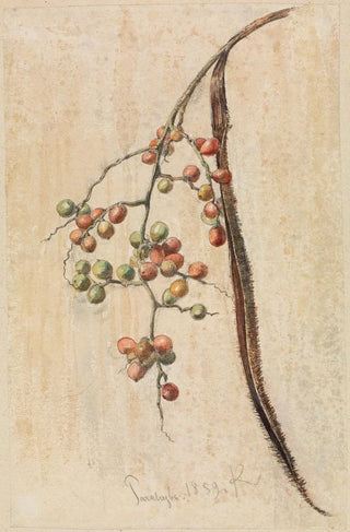 Ferdinand Keller - Studie eines Frchte tragenden Zweiges.webp