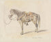 Estudio de un caballo con silla - Ferdinand Keller — vista de la obra