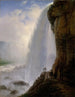 Under the Niagara Falls - Ferdinand Richardt — artwork view