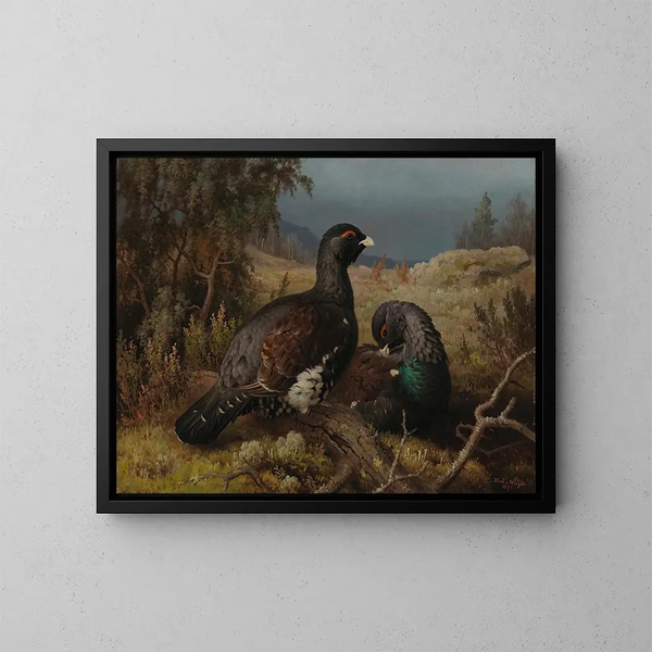 Coqs de grand tétras - Ferdinand von Wright — cuadro enmarcado en la pared