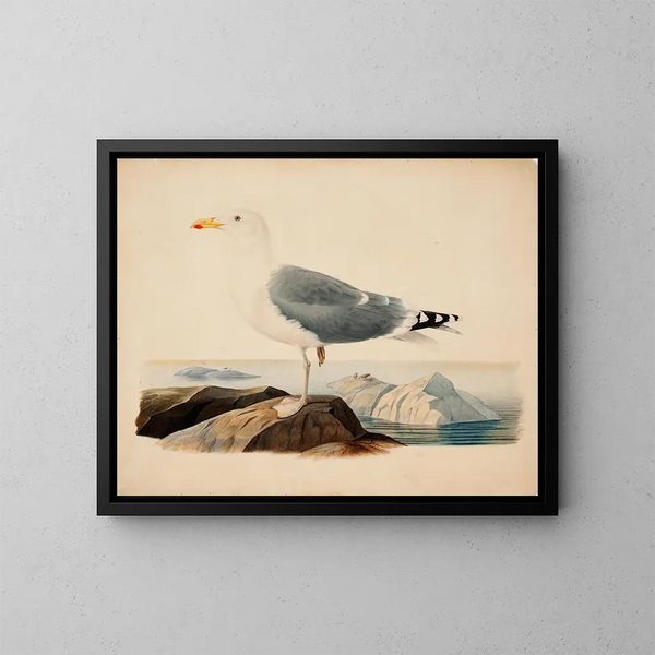 Gaviota ceniza - Ferdinand von Wright — cuadro enmarcado en la pared