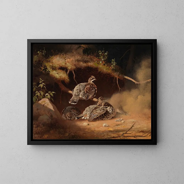 Gros-bec en train de se rouler dans le sable - Ferdinand von Wright — cuadro enmarcado en la pared