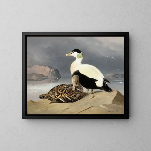 Dos patos - Ferdinand von Wright — cuadro enmarcado en la pared