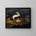 Par de eiders con plumaje en una roca - Ferdinand von Wright — cuadro enmarcado en la pared