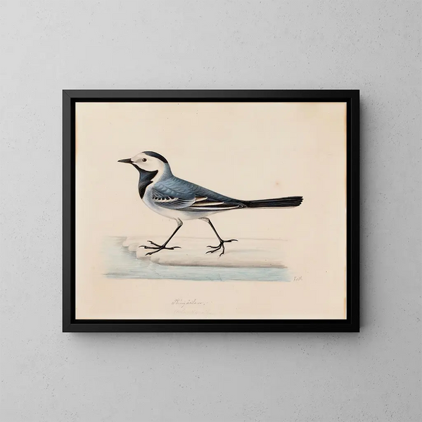 de Gaviota gris - Ferdinand von Wright — cuadro enmarcado en la pared