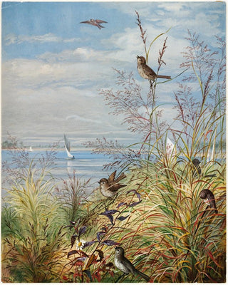 Fidelia Bridges - February.webp
