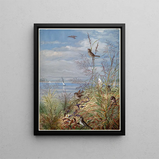 Fidelia Bridges - September.webp