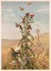 Chardon - Fidelia Bridges — artwork view